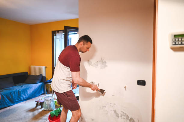 Best Insurance-Related Mold Remediation in Beloit, WI